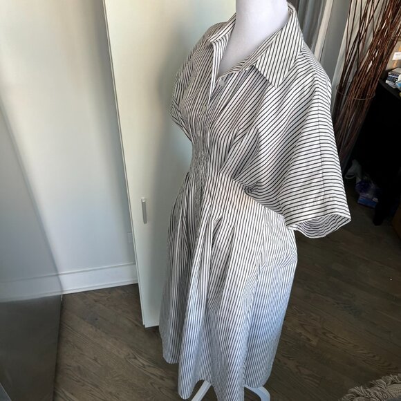 Anthropology The Tobie Button-Front Pleated Shirt Dress by Exquise - Picture 5 of 14